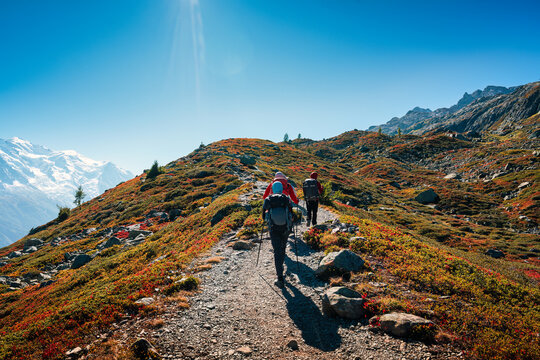 Group of Hiker Walking on Mountain Ridge Surrounded by Autumn Field and Looking at Mont Blanc Massif in Chamonix French Alps