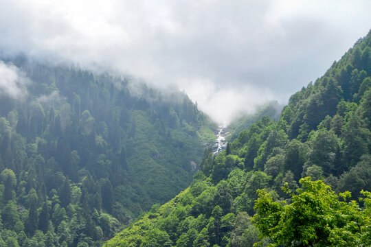 Misty river valley in Ayder, Rize, Turkiye