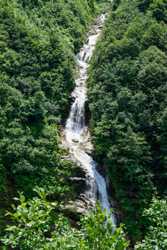 Waterfall in lush forest landscape near Ayder, Rize, Turkiye