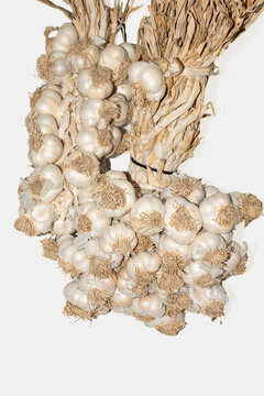 Indispensable for your kitchen, geographically indicated natural Taskopru garlic for health. Kastamonu,TR