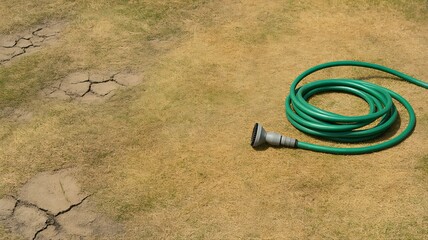 Naklejka premium Dried-up, sunburnt grass which has turned yellow from a lack of water, with green hose pipe with grey watering nozzle laying on the ground. The resulting condition of a British garden lawn due 