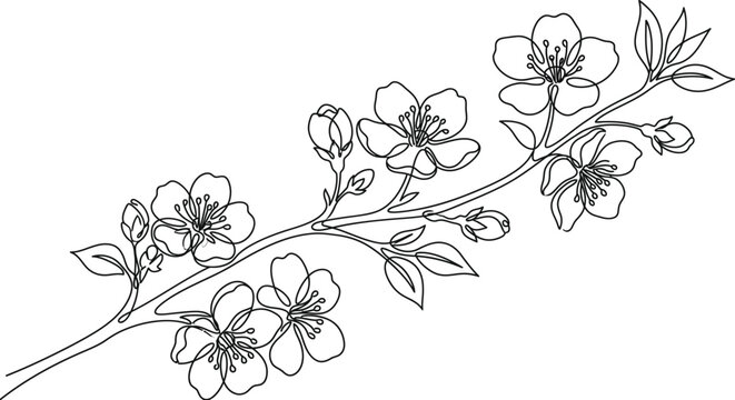 A single line-art vector illustration of a flowering cherry blossom branch.
