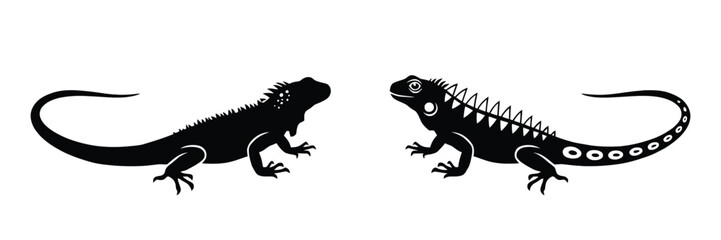 Fototapeta premium Two detailed black silhouettes of iguanas facing each other, one with a textured body and one with patterned scales, isolated on a plain white background
