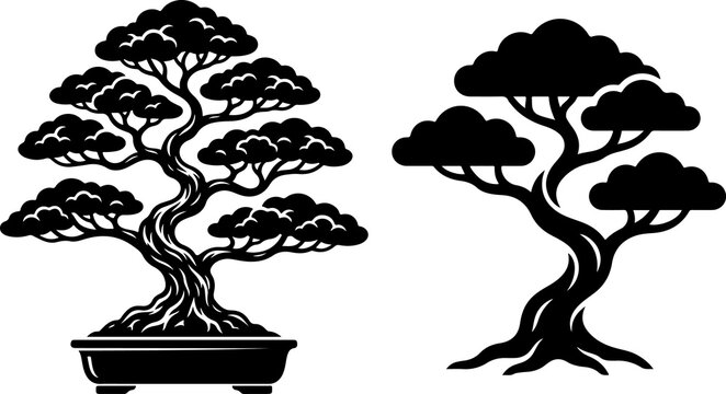 Bonsai Tree Solid Black and White Botanical Nature Icon