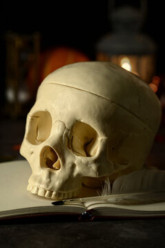 Closeup skull on a journal book