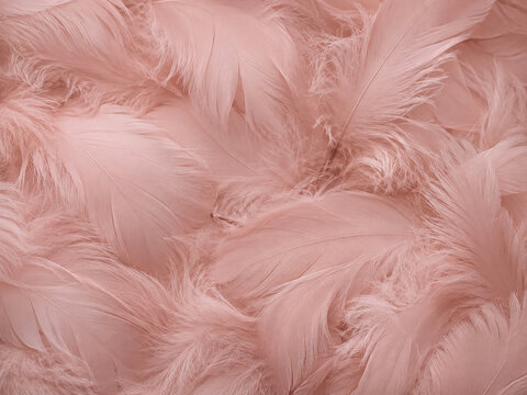 Soft dusty pink feather texture background with airy delicate layers