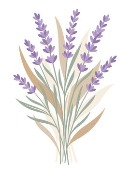 Elegant Hand Drawn Lavender Bouquet Illustration with Soft Pastel Floral Tones for Botanical Nature Design Projects