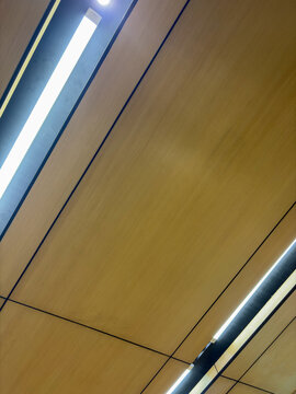 Modern Ceiling Design With Integrated Linear Lighting Fixtures