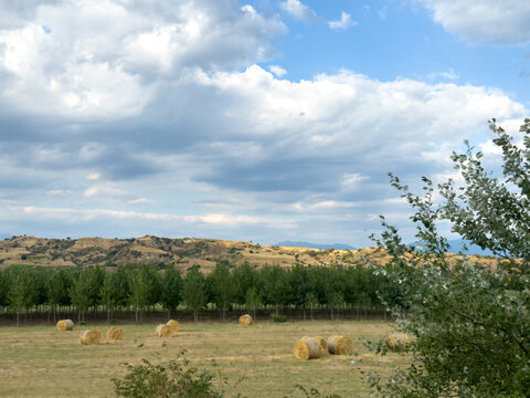 Hay field beneath rolling hills and dramatic cloudscape