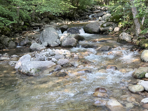 Flowing forest creek among rocks and green woodland