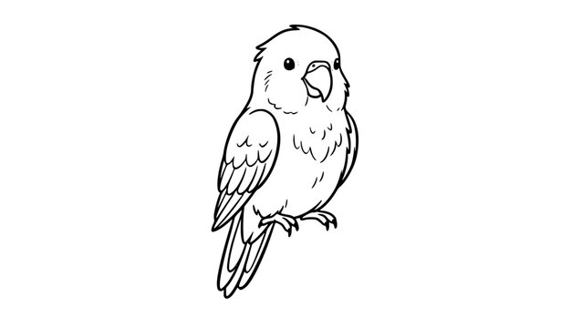 Hand Drawn Cheerful Yellow Lovebird Cute Bird Character Vector