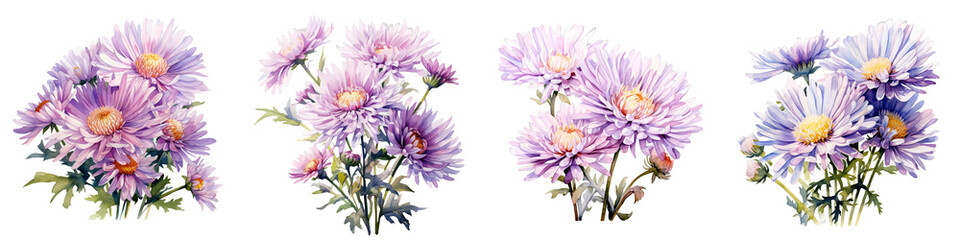 Fototapeta premium Watercolor painting featuring delicate purple chrysanthemums against a black background