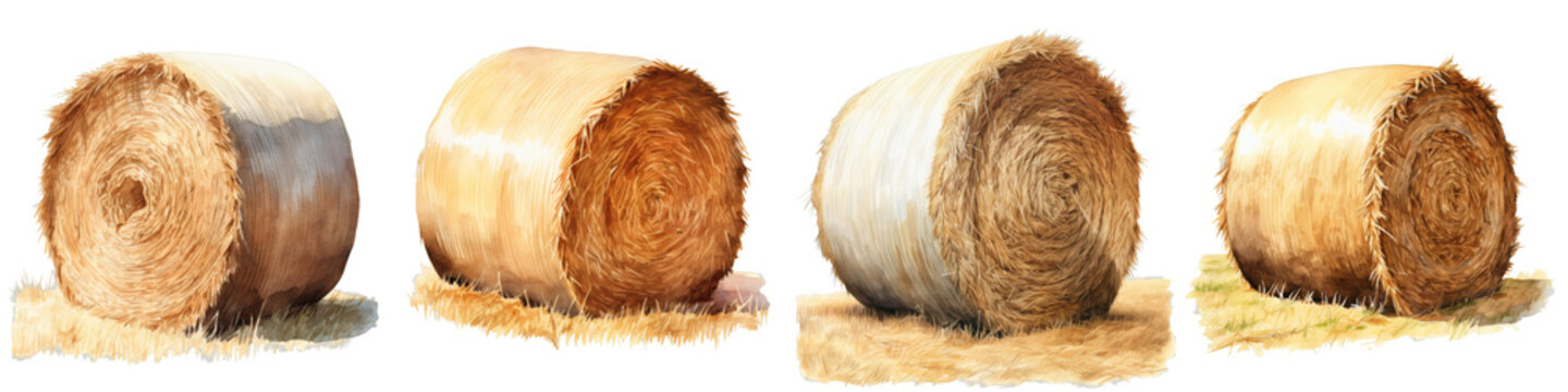 Watercolor painting showcasing four round hay bales resting on patches of straw, isolated against a black backdrop