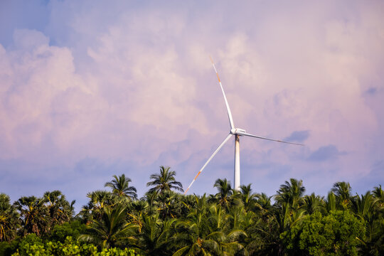 A wind turbine rises above lush tropical palm trees in Kalpitiya, Sri Lanka, beneath towering storm clouds, combining renewable energy with natural coastal scenery.