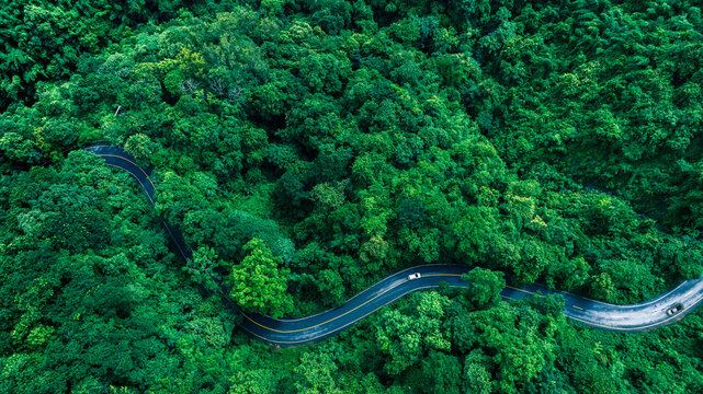 Environmental Conservation Forest Road Background for Green Finance Presentation