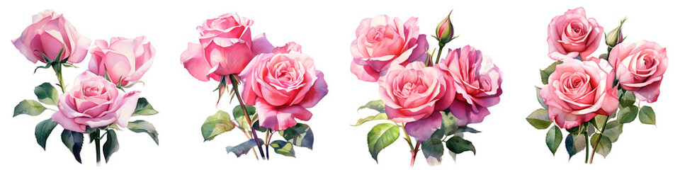 Obraz premium Elegant rose blooms in soft pink and white isolated on a black backdrop, capturing a vintage charm