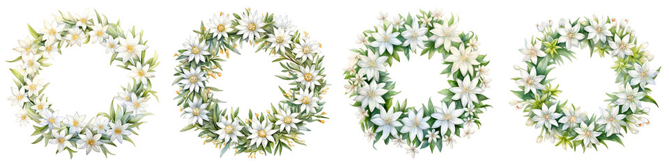 Fototapeta premium Set of four edelweiss flower wreaths watercolor illustration on black background