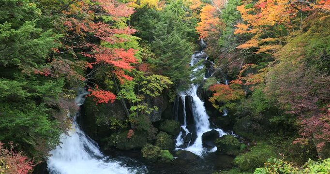 奥日光の紅葉の竜頭の滝
