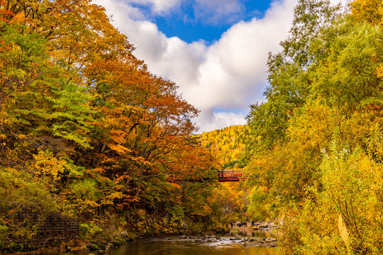 The spectacular view of The red Futami Suspension Bridge over Toyohira River with beautiful fall colors on the riverside cliffs in Jozankei Onsen, Hokkaido, Japan