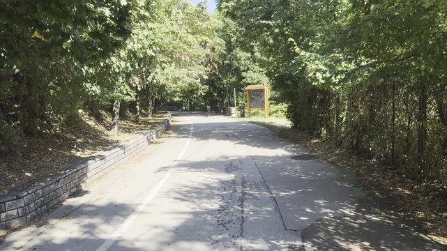 POV Walking Along Scenic Tree Lined Alley Path in Dariva Park Sunny Day Forest Promenade Sarajevo