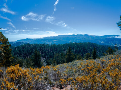 view of a California mountain range with forest