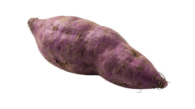 Single raw purple sweet potato isolated on transparent background for culinary and nutrition themes