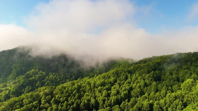 North Carolina Appalachian mountains in summer rain season. Summertime landscape of beautiful nature.