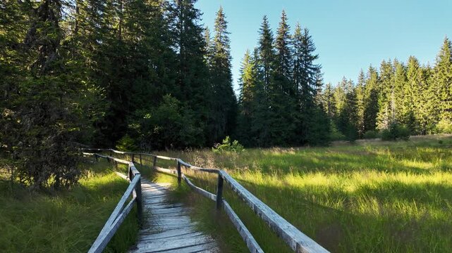 POV movement along a wooden boardwalk crosses Jankova Bara in Kopaonik, Serbia. Immersive nature footage suits travel, hiking, tourism and wetland themes