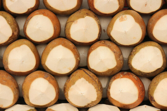Top view abstract texture background of fresh young coconuts shaved in a pyramid shape.