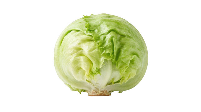 Fresh head of iceberg lettuce isolated on transparent background for culinary website design