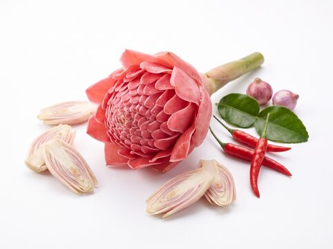 Torch ginger flower with fresh lemongrass, hot red chilies, kaffir lime leaves, and raw shallots, essential ingredients for traditional Asian cuisine cooking