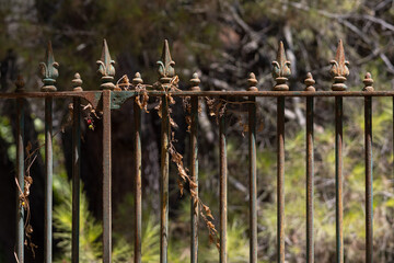 Rusty metal fence with fleur-de-lis spikes decaying in nature © João Macedo