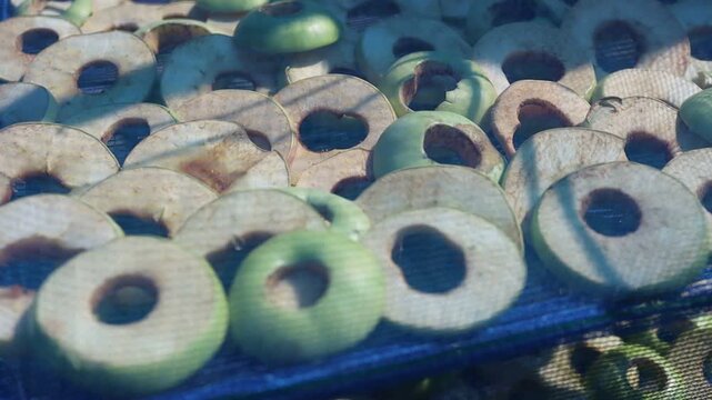 Dried sliced ​​apples close-up
