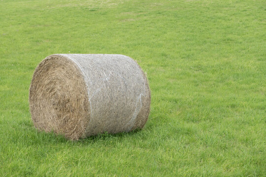 Hay bale lying in a vibrant green grass field