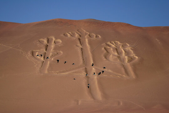 A flock of birds flies past the large Candelabra geoglyph carved into the steep, sandy hillside of a desert coastal region. The ancient symbol remains visible today.