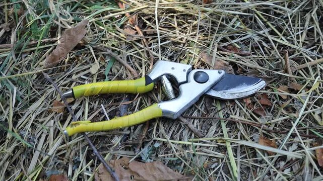 Pruning shears on grass in garden setting