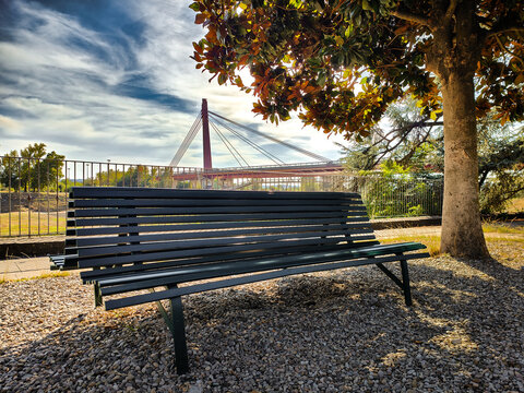 An empty bench made of wood and metal rests on a small gravel ground under a lush tree in a public park. A large cable-stayed bridge spans the bright sky in the background.