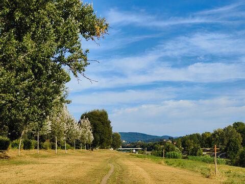 A peaceful dirt path winds through a dry grassy meadow under a bright blue sky. Lush green trees line the field, with rolling hills in the distant landscape.