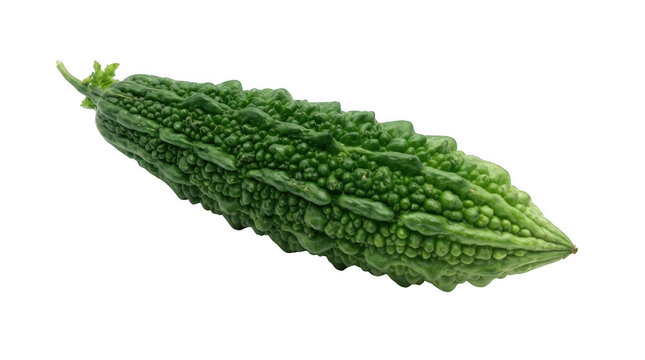 Fresh bitter melon vegetable isolated on transparent background for healthy eating and organic produce marketing