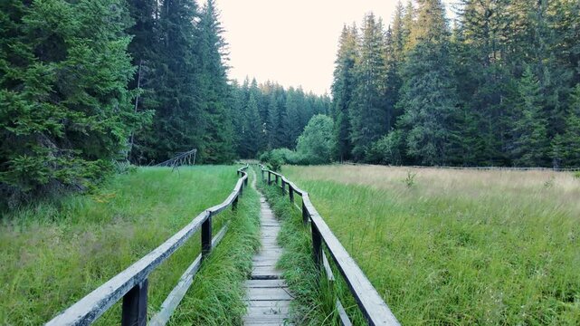 POV movement along a wooden boardwalk crosses Jankova Bara in Kopaonik, Serbia. Immersive nature footage suits travel, hiking, tourism and wetland themes