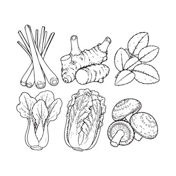 Asian Vegetables and Herbs Line Art Collection, Bok Choy, Napa Cabbage, Shiitake Mushroom, Lemongrass, Ginger and Mint.