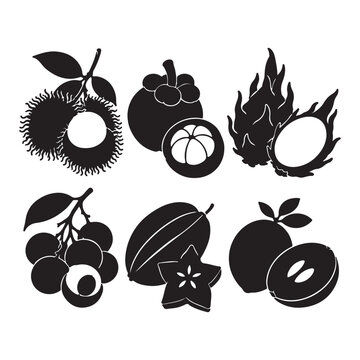 Tropical Exotic Fruit Silhouette Collection, Rambutan, Mangosteen, Dragon Fruit, Longan, Starfruit and Sapodilla Icons.