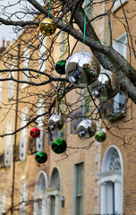 Fototapeta premium Decorative baubles hanging from tree branches in front of terrace of Georgian houses in Dublin city. Outdoor exterior ornaments or decorations for Christmas Holiday season. Ireland