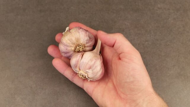 Holding fresh garlic bulbs in hands