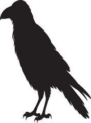 Fototapeta premium Black Raven Silhouette Vector Illustration