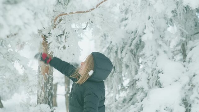 Boy walking through snow-covered pine trees brushing branches and sending snow falling