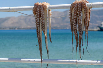 Fresh octopus hung out to dry on a taverna railing above the turquoise sea, Greece © Michal Plevko