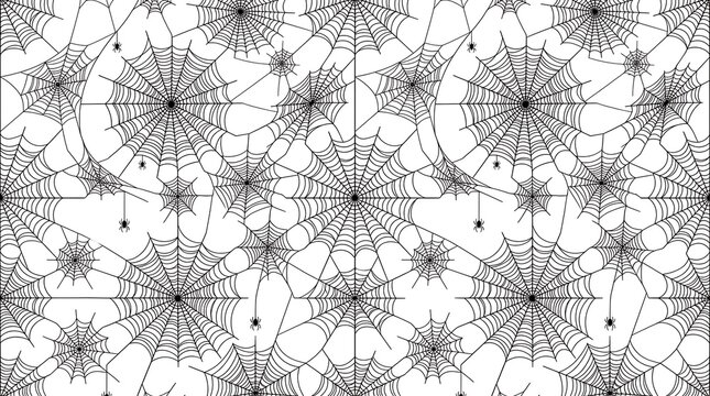 Intricate black and white spider web pattern texture design