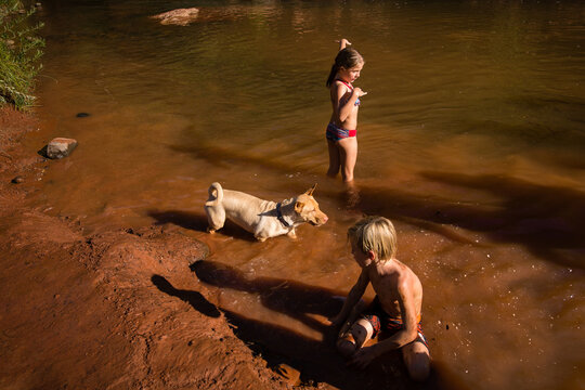 Children and Dog Playing in Creek