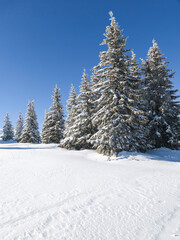 Obraz premium Landscape of Vitosha Mountain, Bulgaria